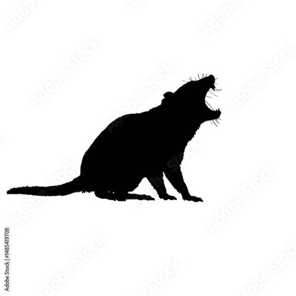 Obraz Solid black silhouette of a Tasmanian devil growling