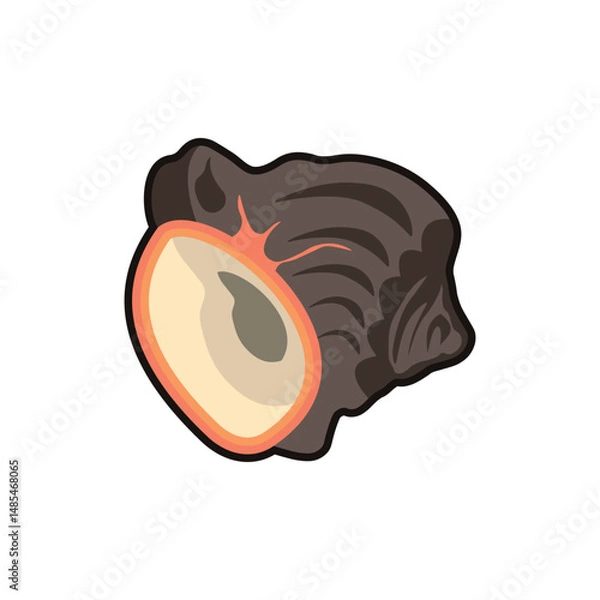 Fototapeta Rapan colored vector illustration. Can be used for any platform action promotion and advertising. Isolated symbol sign used for: mobile, app, design, web, dev, ui, ux, gui. EPS 10. For your project.