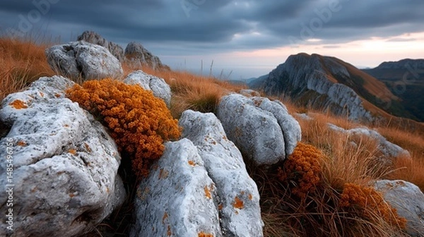 Fototapeta rocky slope blanketed with lichen under overcast sky