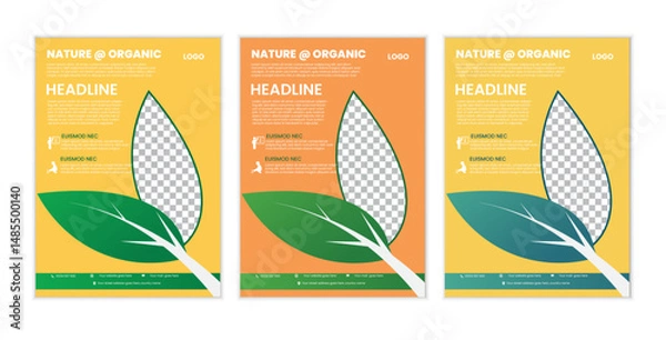 Fototapeta  a bundle of 3 template agricuture  flyer design, in blue color, and modern design,marketing,medical proposal, promotion, advertise, publication and editable vector template design