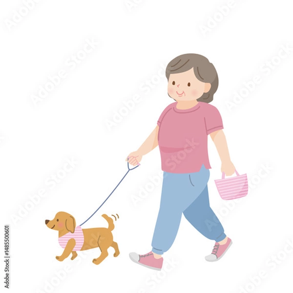 Fototapeta 犬の散歩をしている太った中年女性