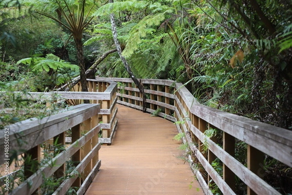 Obraz 公園の散歩道