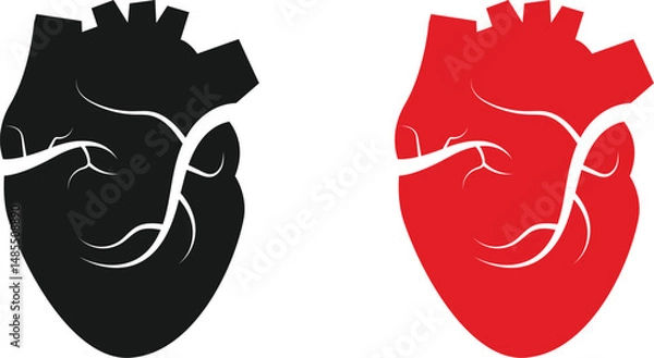 Fototapeta illustration of real heart vector on transparent background.