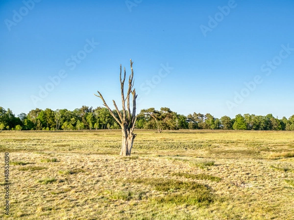Obraz Vergänglichkeit