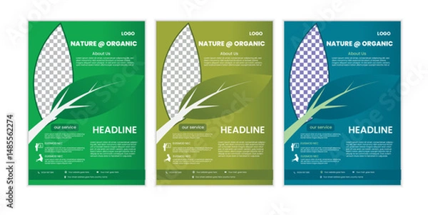Fototapeta a bundle of 3 template agricuture flyer design, in blue color, and modern design,marketing,medical proposal, promotion, advertise, publication and editable vector template design