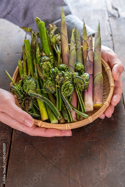 Obraz 手に持った春の山菜（ウド、たけのこ、こごみ）