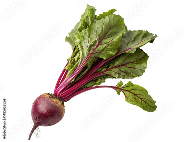 Fototapeta bunch of red beets Isolated PNG or JPEG Background