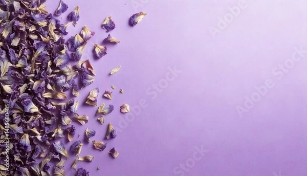 Fototapeta Dried violet petals on a pale lavender pastel surface with elegant top view styling