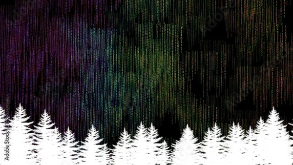 Fototapeta Binary code digital forest cyber night technology matrix background