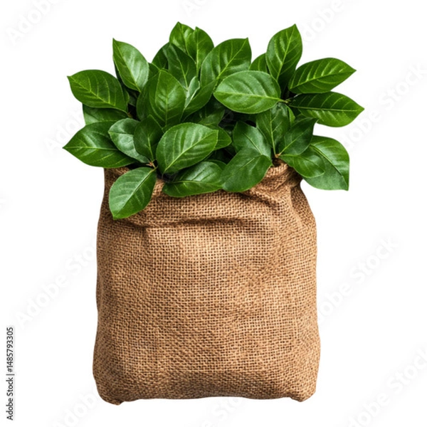 Obraz Green Plant in Burlap Sack with Lush Leaves and Natural Texture