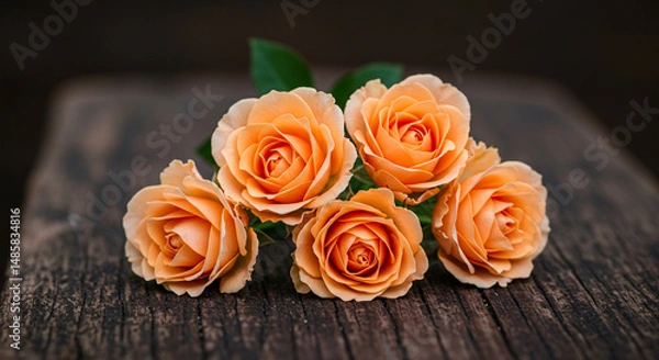 Fototapeta wedding bouquet of roses,rose, bouquet, flower, flowers, roses, pink, love, bunch, wedding, nature, floral, valentine, romance, 