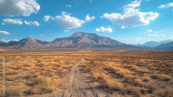 Obraz Desert landscape with mountain range