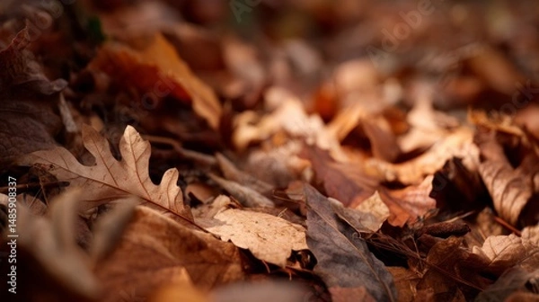 Fototapeta Fallen Autumn Leaves on Ground Creating Colorful Natural Background in Detail with Warm Earthy Tones and Textures