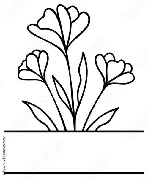 Obraz Flower Split Border | Floral Frame | Vector Line Art