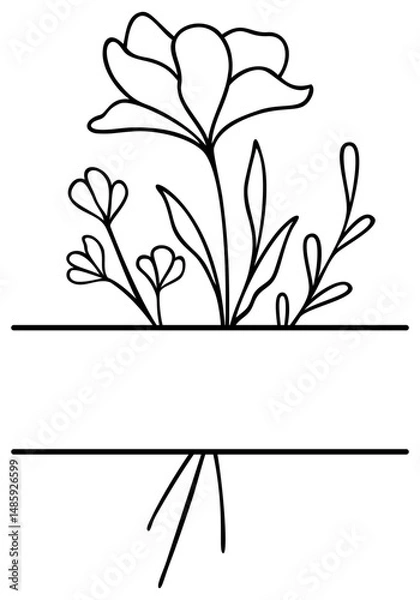 Obraz Flower Split Border | Floral Frame | Vector Line Art