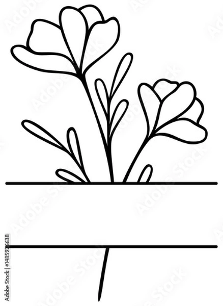 Obraz Flower Split Border | Floral Frame | Vector Line Art