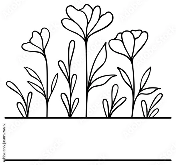 Obraz Flower Split Border | Floral Frame | Vector Line Art