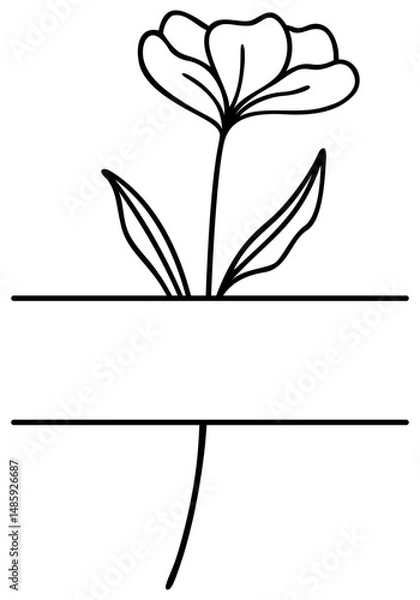 Obraz Flower Split Border | Floral Frame | Vector Line Art