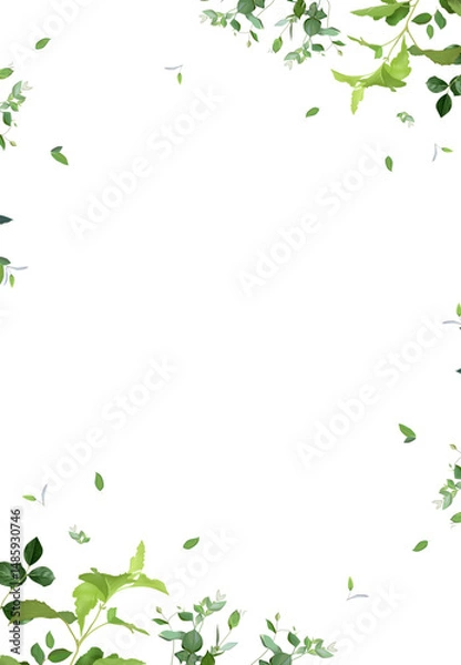 Obraz Herbal minimalist vector banner. Hand painted plants, branches, leaves on a white background. Greenery wedding simple template. Watercolor style card. All elements are isolated and editable