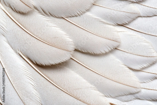 Fototapeta Detailed exploration of feather textures showcasing intricate patterns and soft tones