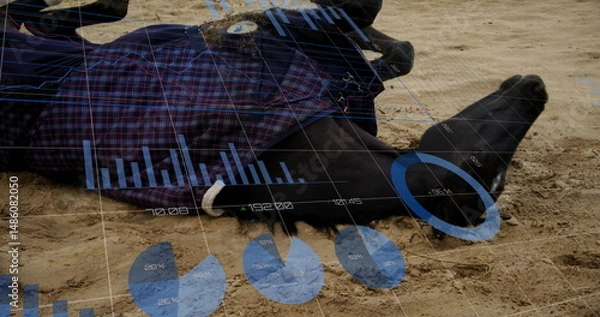 Fototapeta Image of statistics and data processing over horse
