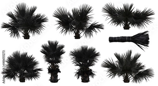 Obraz Midnight Palms: A Silhouetted Collection AI Generated