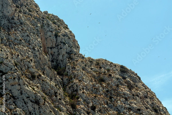 Obraz rocks on the beach