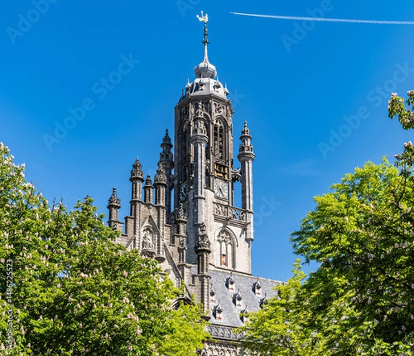 Obraz Middelburg Town Hall (Middelburg Stadthuis) is situated at the market of Middelburg, Zeeland, Netherlands.