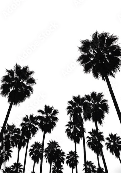 Obraz Palm Silhouette Symphony AI Generated