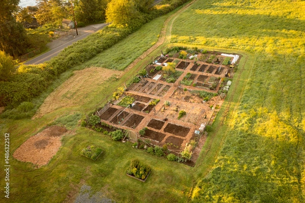 Obraz Aerial view of a Community garden located on an island in the Pacific Northwest. Beautiful morning light illuminates a garden area set aside on a land preserve in the Salish Sea area of Washington.