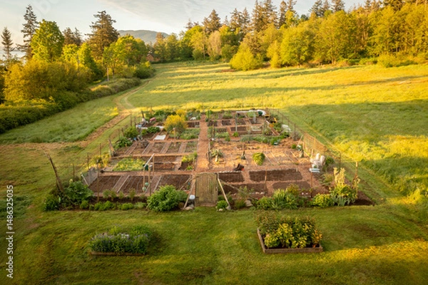 Obraz Aerial view of a Community garden located on an island in the Pacific Northwest. Beautiful morning light illuminates a garden area set aside on a land preserve in the Salish Sea area of Washington.