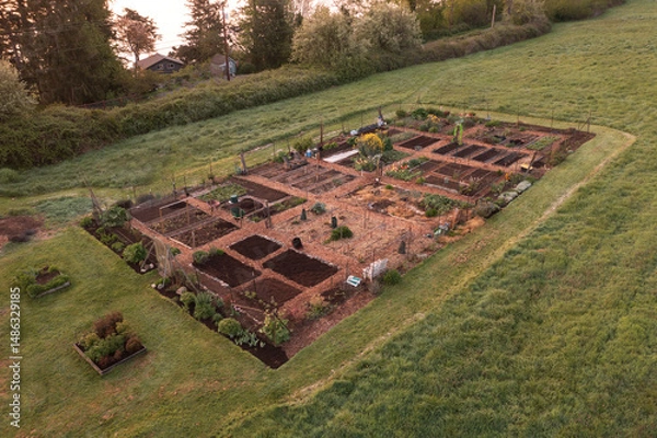 Obraz Aerial view of a Community garden located on an island in the Pacific Northwest. Beautiful morning light illuminates a garden area set aside on a land preserve in the Salish Sea area of Washington.