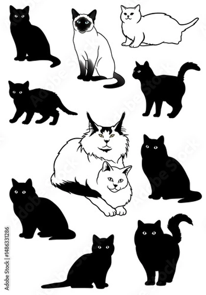 Obraz Feline Silhouettes: A Whiskered Collection AI Generated