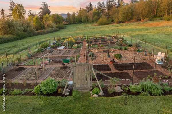 Obraz Aerial view of a Community garden located on an island in the Pacific Northwest. Beautiful morning light illuminates a garden area set aside on a land preserve in the Salish Sea area of Washington.