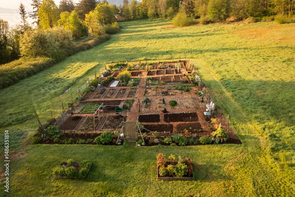 Obraz Aerial view of a Community garden located on an island in the Pacific Northwest. Beautiful morning light illuminates a garden area set aside on a land preserve in the Salish Sea area of Washington.