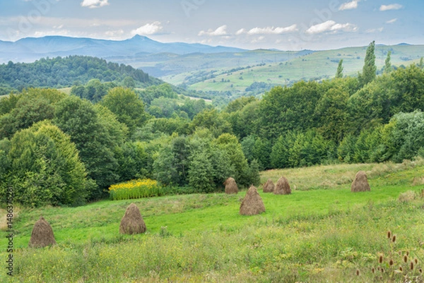 Fototapeta Scenic Carpathian landscape with green hills, haystacks, and forested valleys under a blue sky. Peaceful view of Ukrainian countryside in late summer.