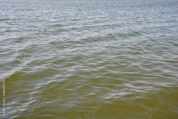 Fototapeta lake surface with waves background