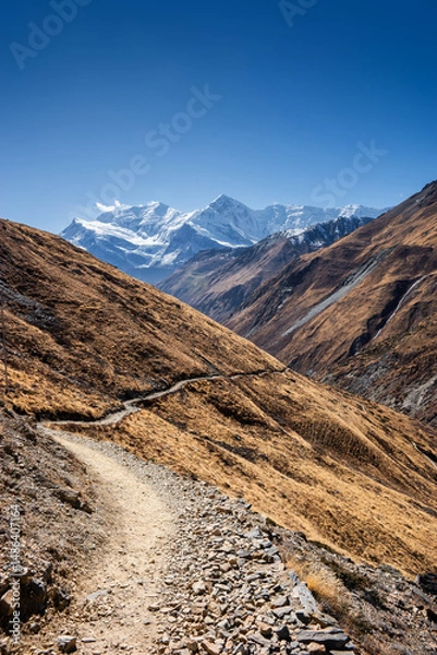 Obraz Thorung Khola gorge in autumn. Trekking route from Manang to Thorong La against snowy and high Gangapurna and Annapurna III peaks. Himalaya mountains, Nepal.