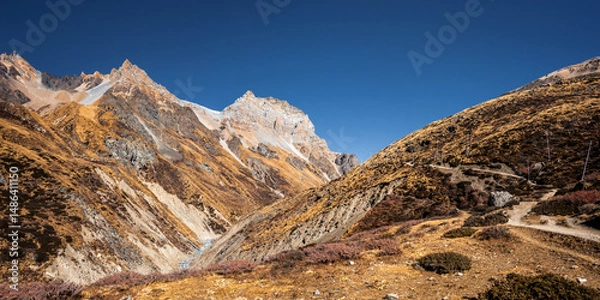 Obraz Trekking route to Thorung La pass. Himalayan alpine meadows between Yak Kharka and Thorung Phedi. Autumn landscape in Nepal.