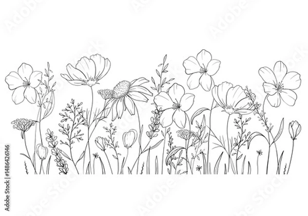 Fototapeta Sketch hand drawn black and white illustration of wild flowers, done in a minimalist sketch style isolated on white background. Ideal for coloring, design and illustrations, print, tattoo.