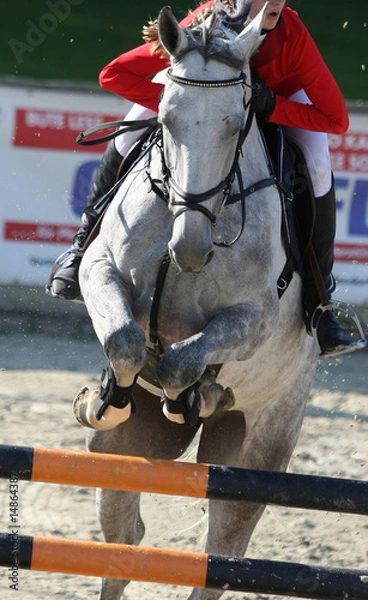 Obraz S-Springreiter