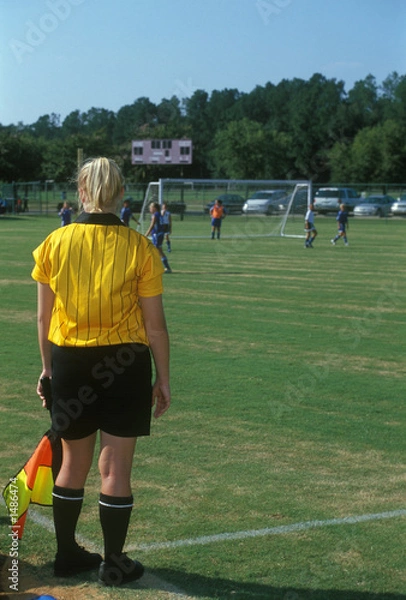 Obraz soccer referee / official