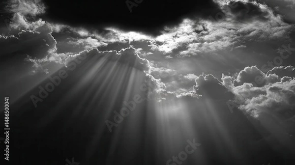 Obraz sunlight that illuminates nature with aesthetics