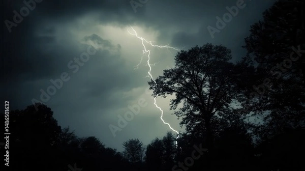 Obraz lightning in the forest
