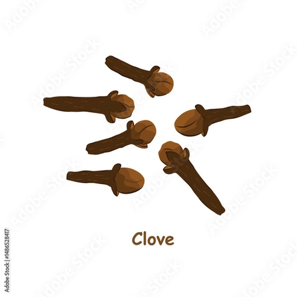 Obraz Clove spice isolated on a white background