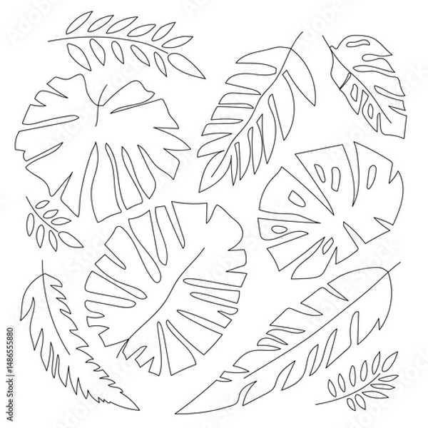 Fototapeta The collection of hand-drawn tropical leaves, each with intricate details and unique shapes. The black and white design captures the serene beauty of nature's foliage.