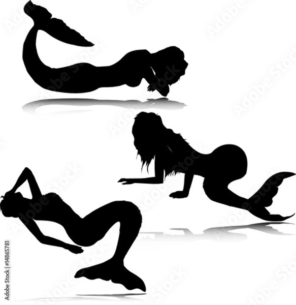 Obraz sea maid vector silhouettes