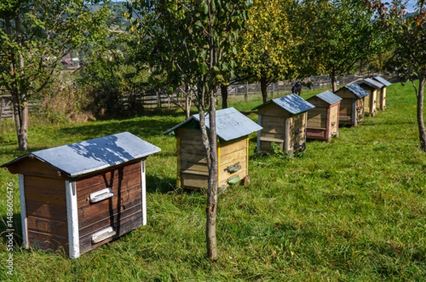 Fototapeta Beehives arranged in a neat row within a peaceful, sunny orchard, symbolizing nature, beekeeping, and sustainable farming practices