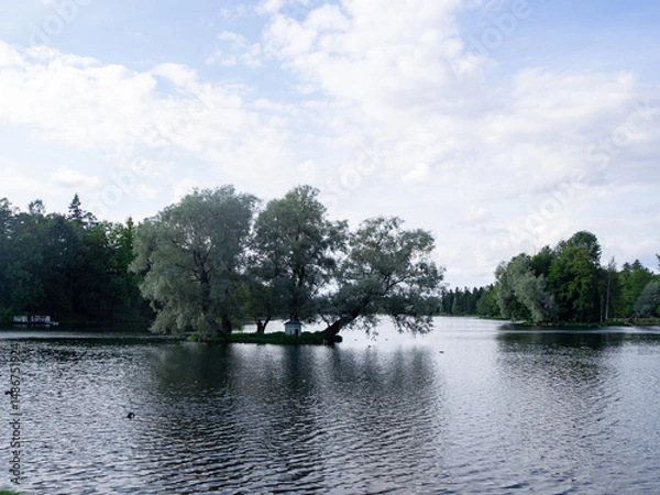 Fototapeta A lake surrounded by green trees on a cloudy day
