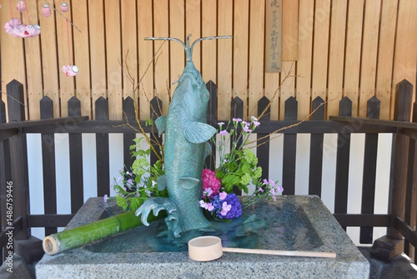 Obraz 北野天満宮神社の水かけ祈願叶い鯉